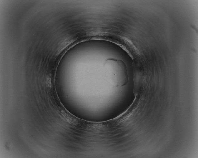 X0000091881209200709191149