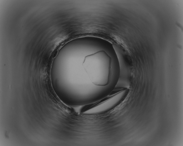 X0000091881210200709191149