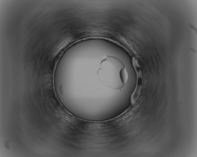 X0000091881211200709191149