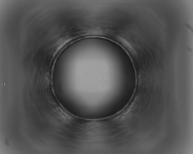 X0000091881212200709191149