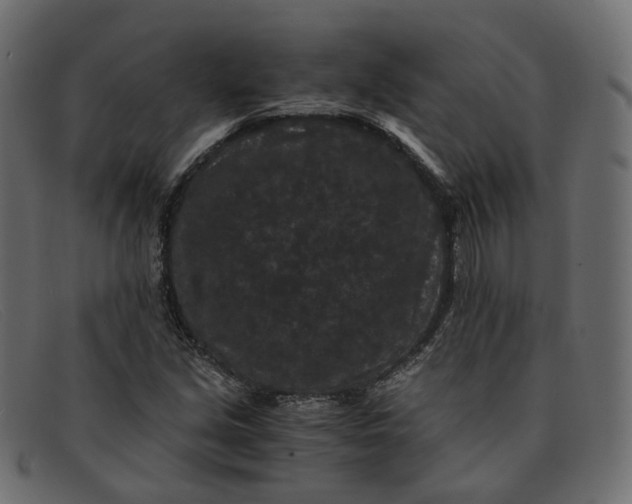 X0000091881213200709191149