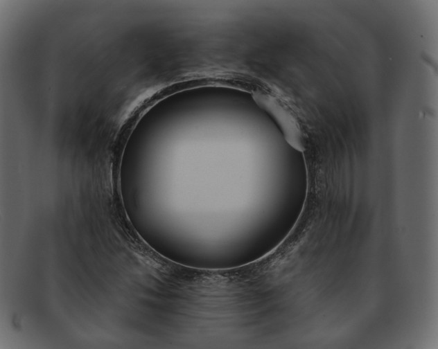 X0000091881214200709191149