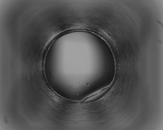 X0000091881216200709191149