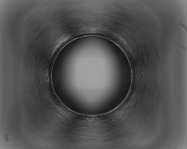 X0000091881218200709191149