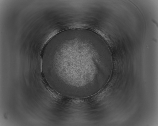 X0000091881219200709191149