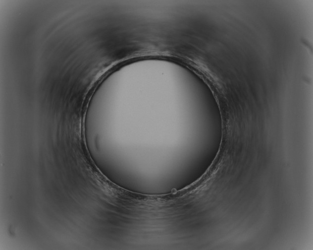 X0000091881220200709191149