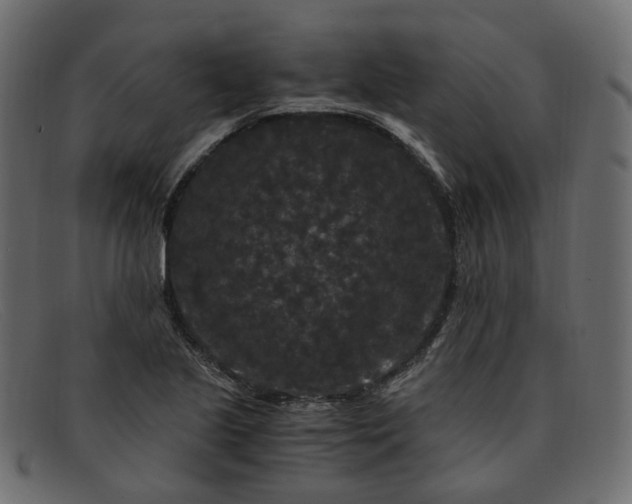 X0000091881221200709191149