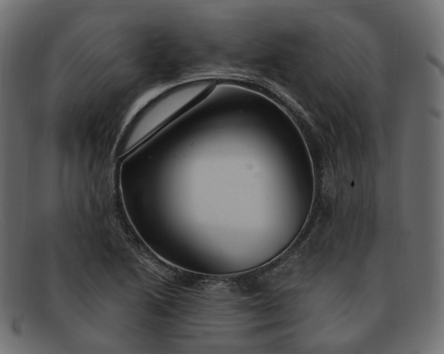 X0000091881222200709191149