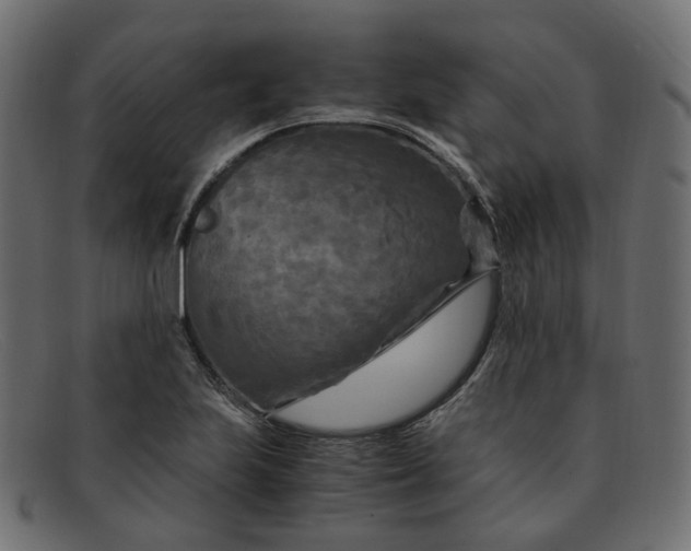 X0000091881223200709191149