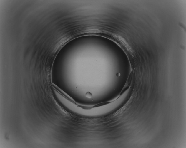 X0000091881225200709191149