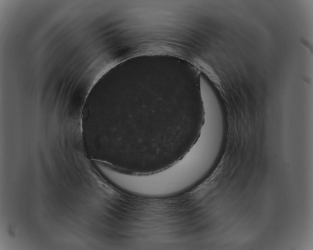 X0000091881226200709191149