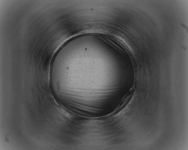 X0000091881228200709191149