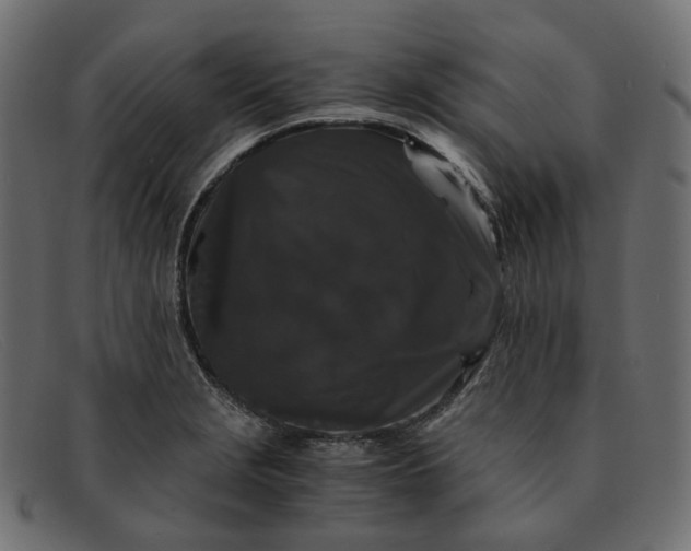 X0000091881229200709191149