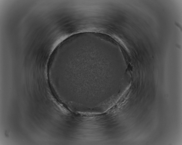 X0000091881230200709191149