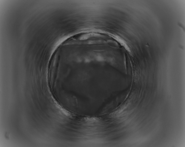 X0000091881231200709191149