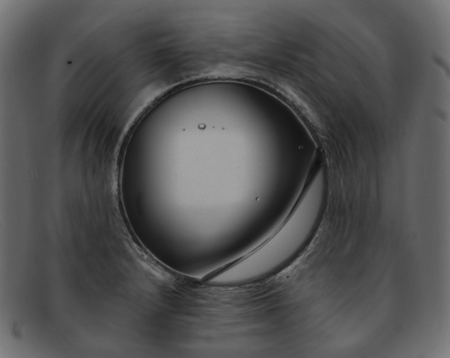 X0000091881232200709191149