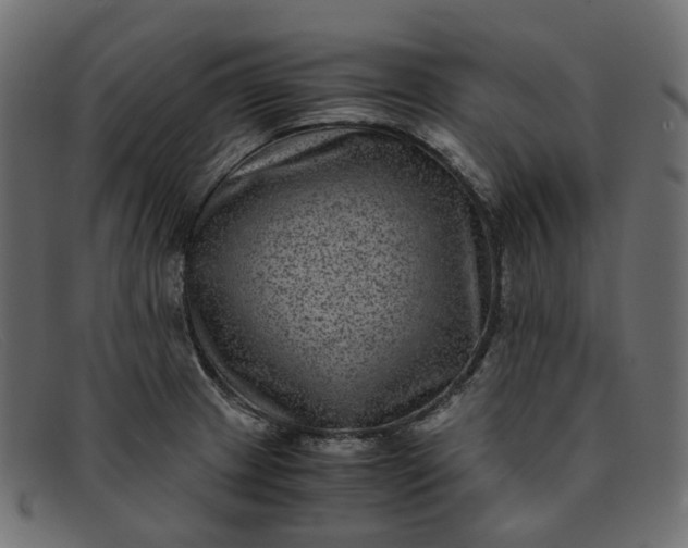 X0000091881233200709191149