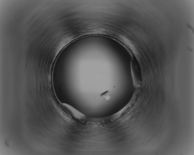 X0000091881234200709191149