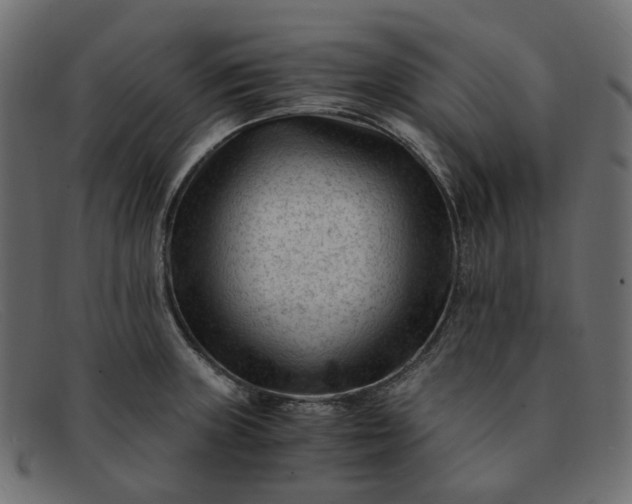 X0000091881235200709191149