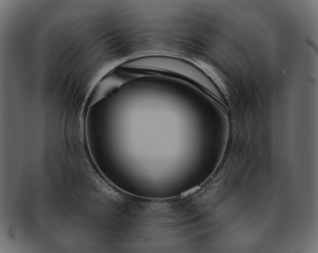 X0000091881238200709191149