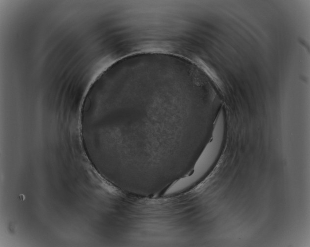 X0000091881240200709191149