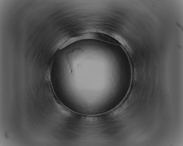 X0000091881241200709191149