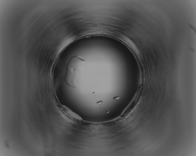 X0000091881242200709191150