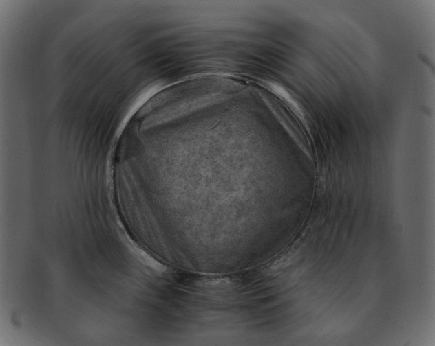 X0000091881243200709191150