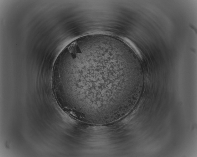 X0000091881244200709191150