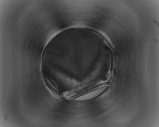 X0000091881245200709191150