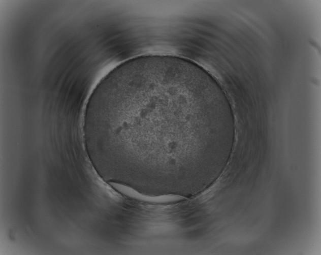 X0000091881248200709191150