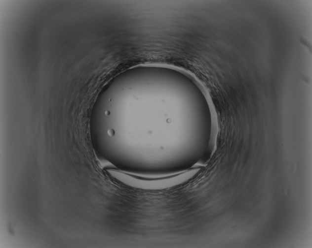 X0000091881249200709191149