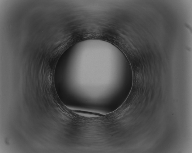 X0000091881250200709191149