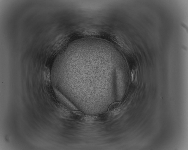 X0000091881251200709191149