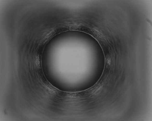 X0000091881252200709191149