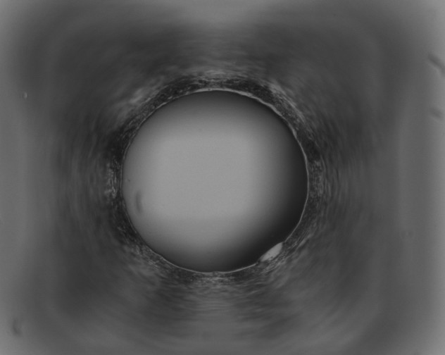 X0000091881253200709191149