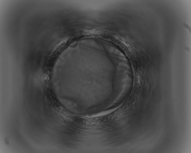 X0000091881254200709191149