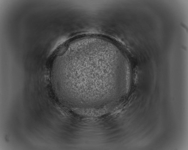 X0000091881255200709191149