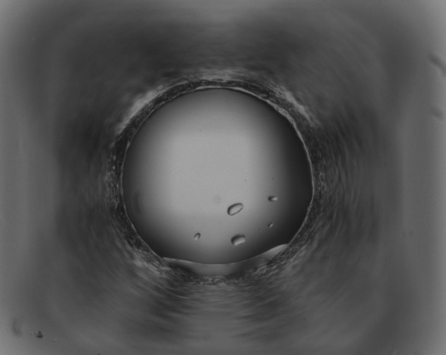 X0000091881256200709191149