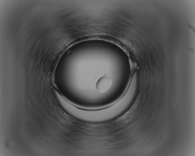 X0000091881257200709191149