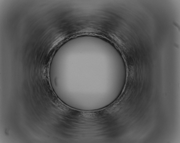 X0000091881258200709191149