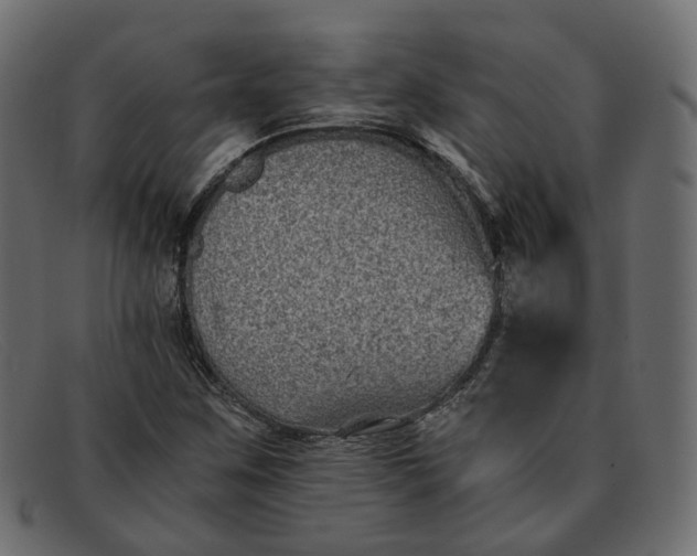 X0000091881259200709191149