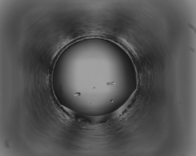 X0000091881260200709191149