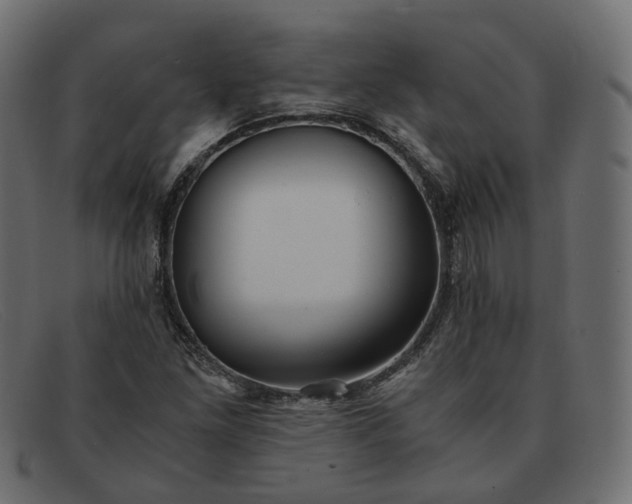 X0000091881261200709191149