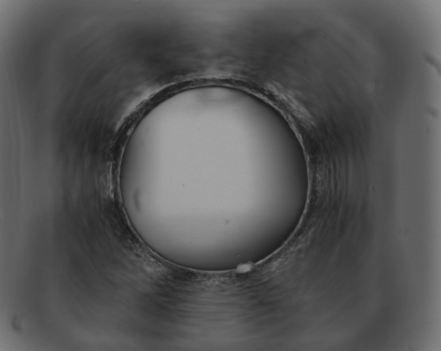 X0000091881262200709191149