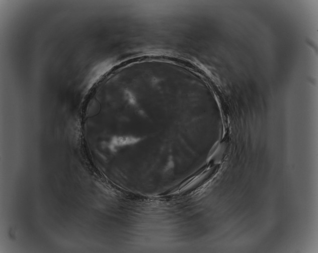 X0000091881263200709191149