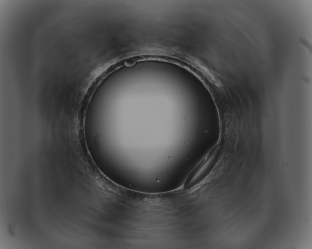 X0000091881264200709191149