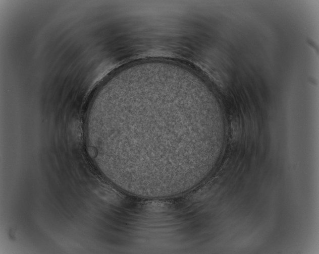 X0000091881266200709191149