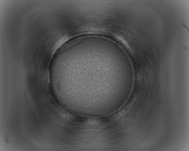 X0000091881267200709191149