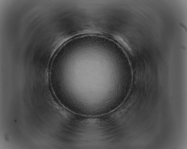 X0000091881268200709191149